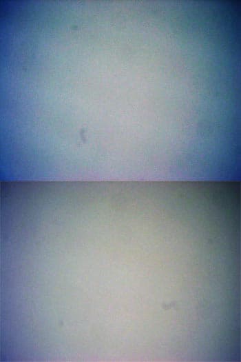 Canon 300D, поиск дефектов матрицы