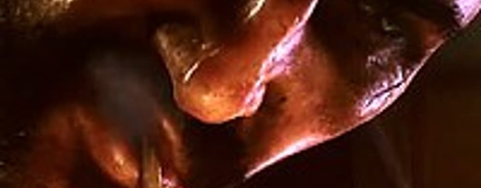 Какая производительность требуется для Samaritan demo 