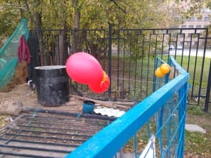 камера Oppo Finder — примеры снимков