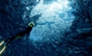 Критики назвали Abzu продолжателем дела Flower и Journey