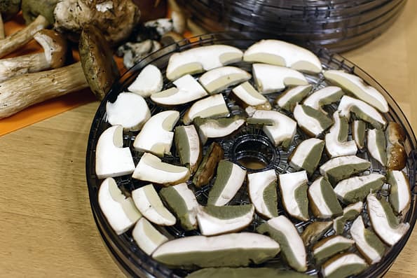 Электрическая сушилка Mystery MDH-321