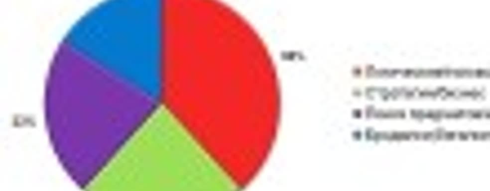 Портрет казуального игрока-2009 – результаты независимого исследования TOY-Opinion