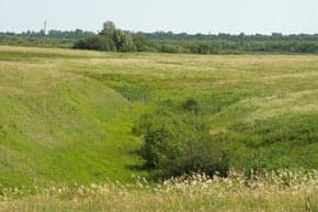 Capture One Pro 3.7.7 + Soft Look