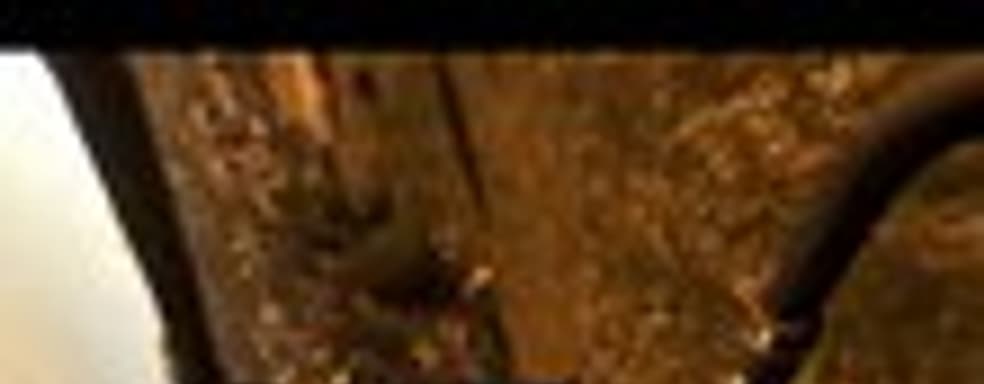 Тизер Dying Light: The Following