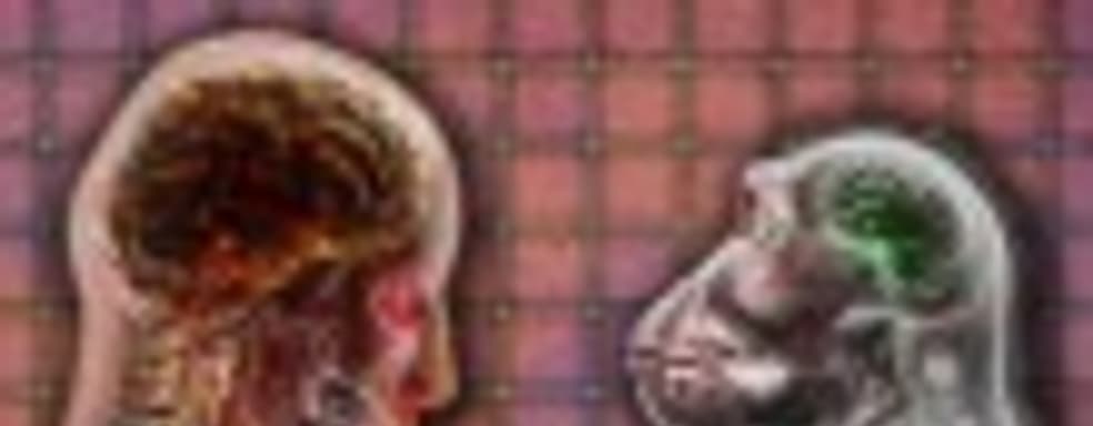 Plague Inc. — пособие по уничтожению человечества