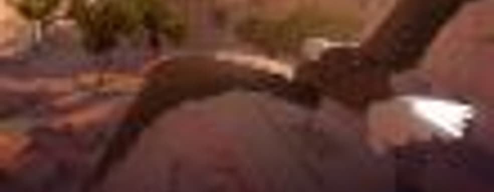 Стань орлом в Eagle Flight