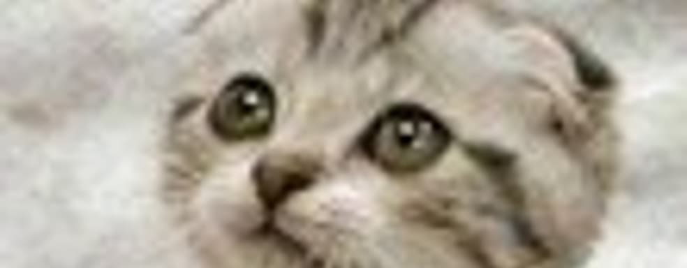 Kotick о Schafer'е, 3D, Kinect и новых аксессуарах