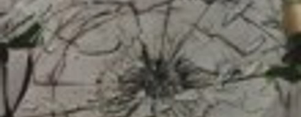 Свежий выпуск Edge может представить духовного наследника Burnout