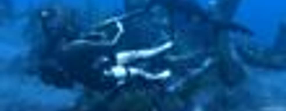 Новые скриншоты (Tomb Raider: Underworld, The Conduit и Tales of Vesperia)