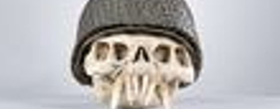 Череп пришельца из Resistance за $2,5 тыс.