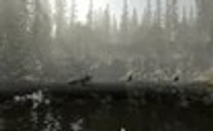 The Forest в Steam Early Acces с 22 мая