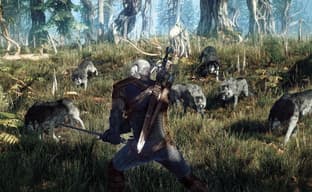 Вожак стаи – мод для «Ведьмака 3» превращает волков в союзников Геральта