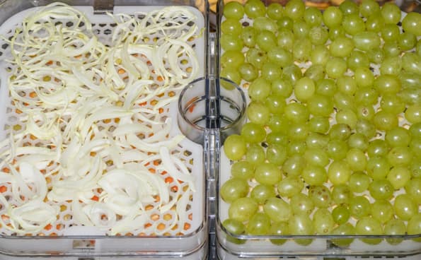 Дегидратор Gochu D-310