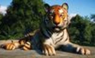 18 минут в компании с животными в Planet Zoo