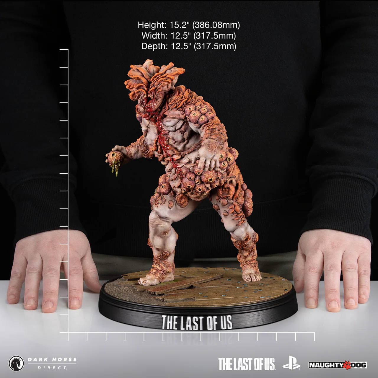 Images are owned by Sony Interactive Entertainment, Naughty Dog, and Dark Horse Direct