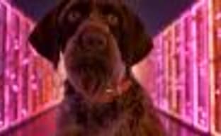 Забудь о консолях! – эффектный и странный трейлер Google Stadia