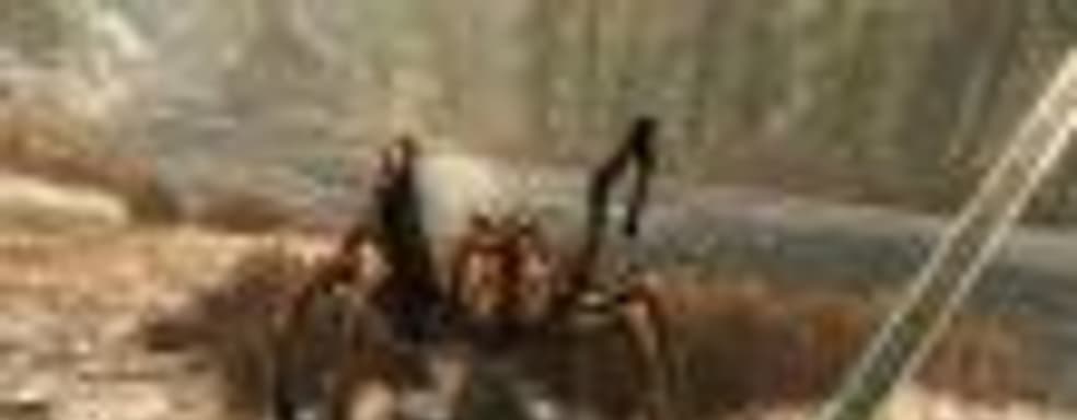 Слух: Skyrim VR – «полная катастрофа»