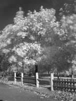 Снимок с фильтром ИКС 1