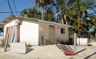 Фанаты GTA ещё сильнее ждут 15 мая — моддеры GTA 5 выпустят NaturalVision с фотореалистичной графикой