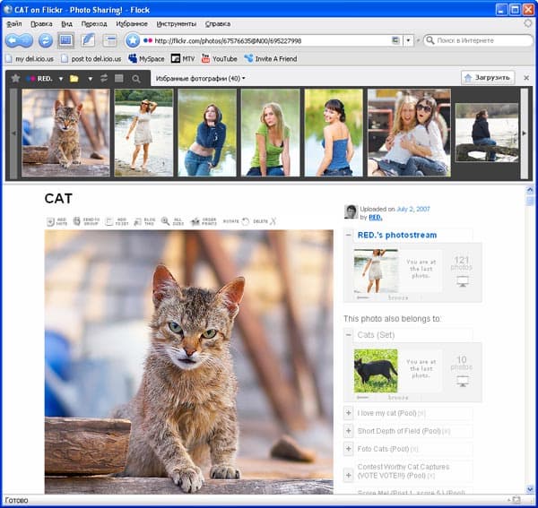 Панель фотографий и работа с сервисом Flickr в браузере Flock