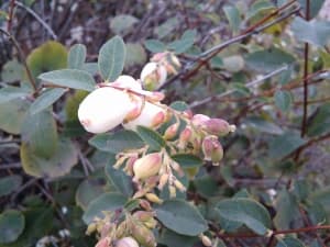 камера Oppo Finder — примеры снимков