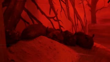 Видеосъемка фотоаппаратом Panasonic DMC-G7