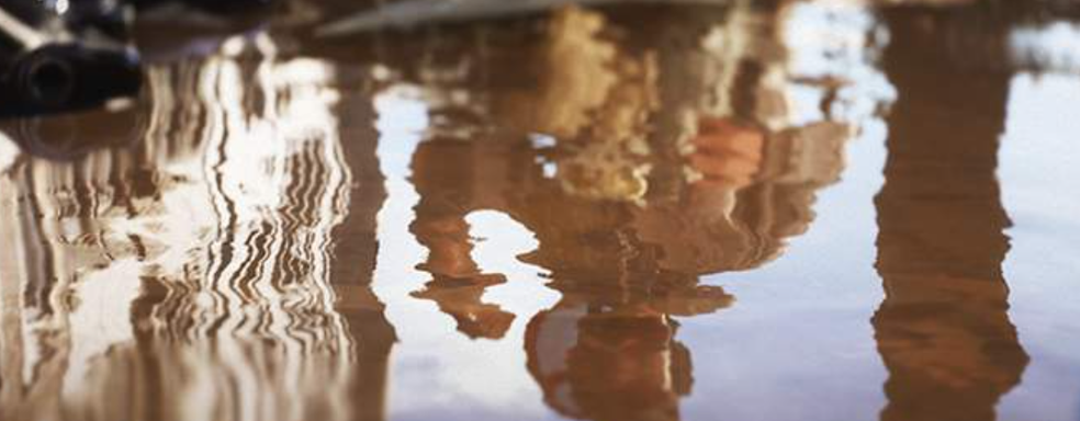 DNS будет продавать GeForce RTX 4070 Ti в России. Объявлена дата и время начала продаж