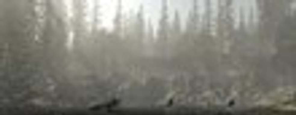 The Forest в Steam Early Acces с 22 мая