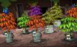 «Конопляный магнат» Weedcraft Inc. попал в немилость Facebook и YouTube