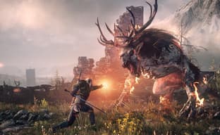 CD Projekt Shows First The Witcher 3 Footage on Steam Deck