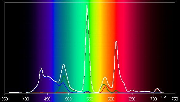 Spectrum