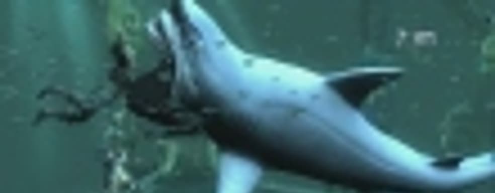 Лучшие игры первой половины 2013