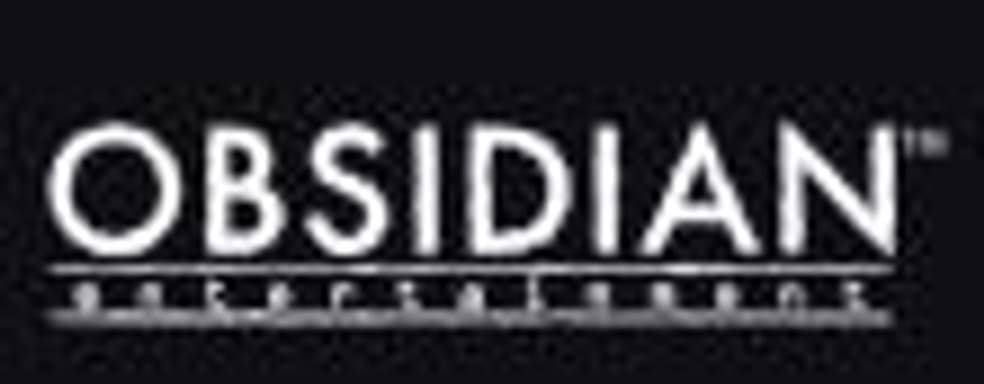 Студия Obsidian ищет сотрудников для создания высокобюджетной ролевой игры