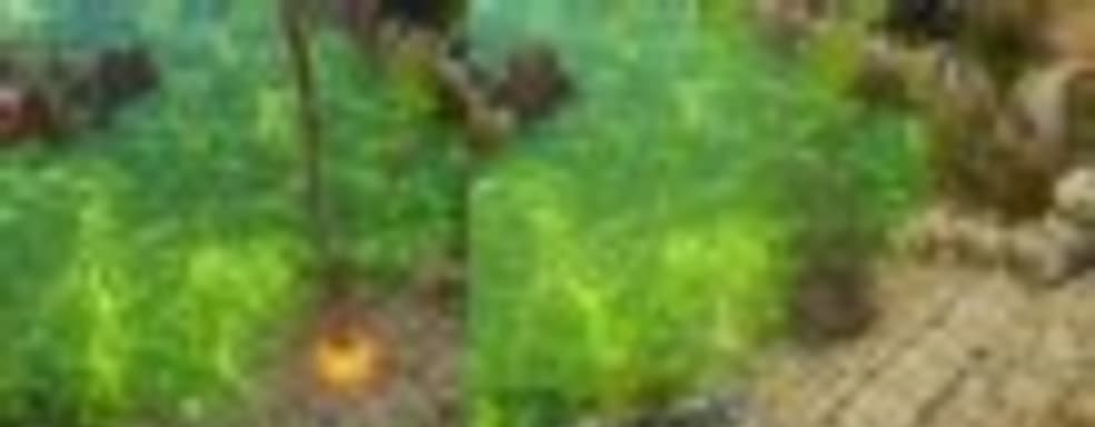 Сравнение Divinity: Original Sin с переизданием и launch-трейлер Enhanced Edition