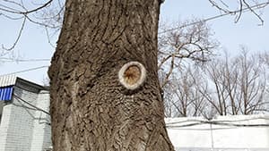 Фотографии смартфона Samsung Galaxy S4