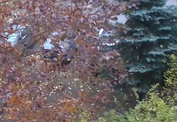 Снимок на камеру Samsung Wave Y