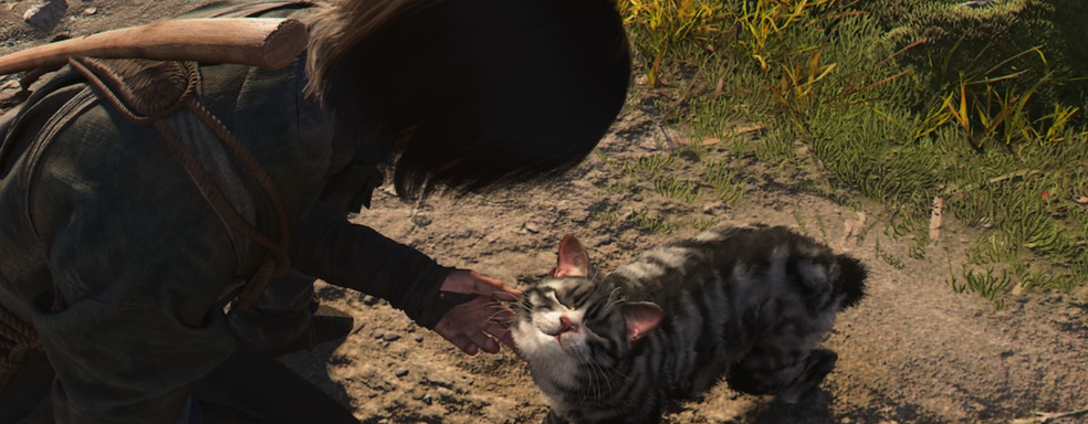 Assassin's Creed Shadows начали громить на Metacritic, но ненавистники столкнулись с сопротивлением фанатов