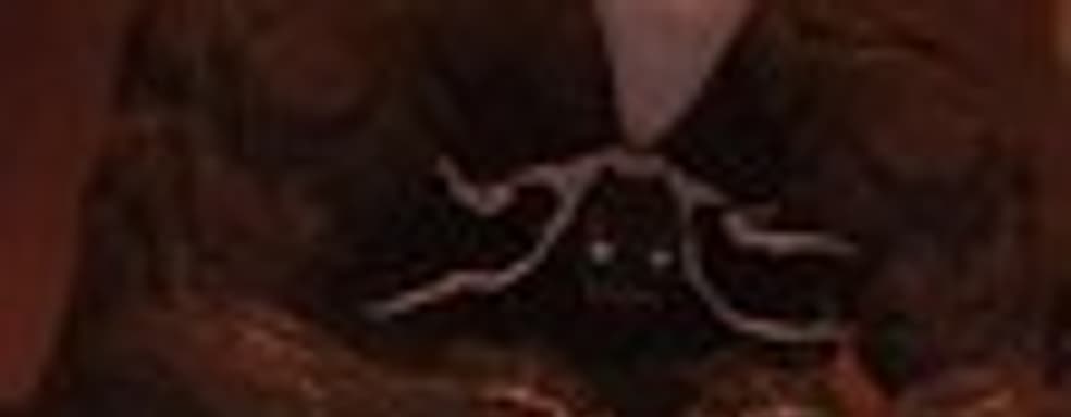 Трейлер Final Fantasy XIV: A Realm Reborn для PS4