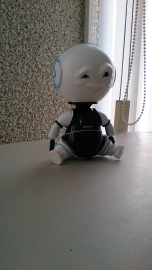 обзор смартфона Sony Xperia ZL