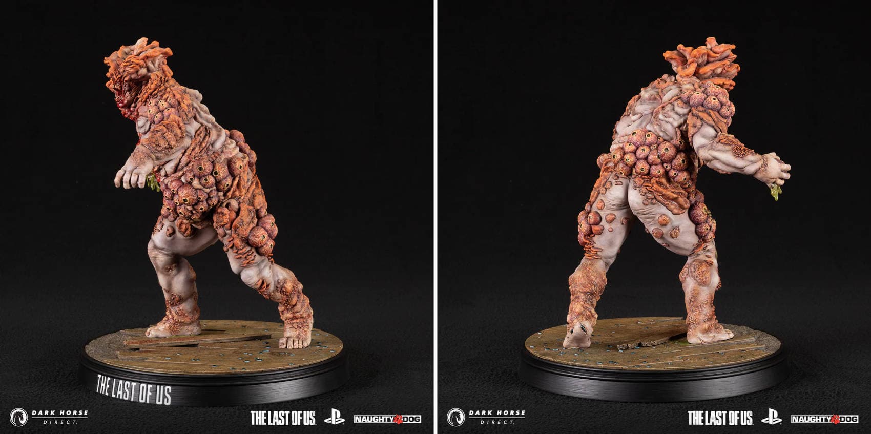 Images are owned by Sony Interactive Entertainment, Naughty Dog, and Dark Horse Direct