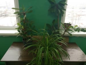 обзор смартфона Sony Xperia Z