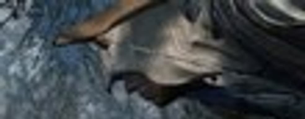 Новые скриншоты (Assassin's Creed III, Sorcery...)