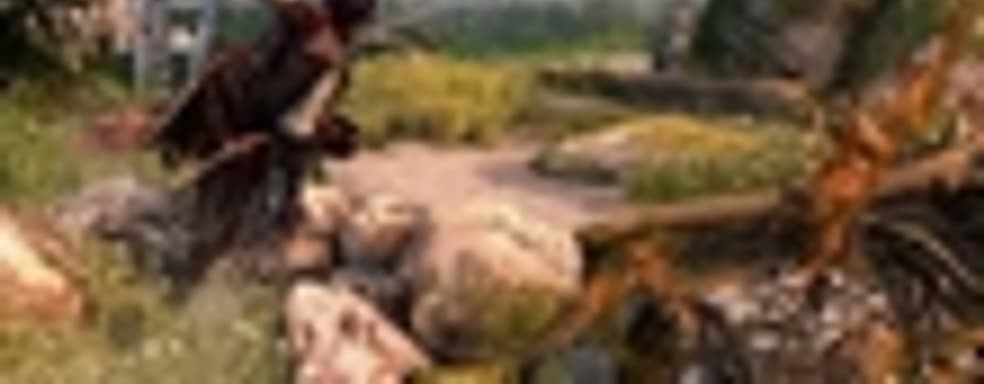 Подробности об эксклюзивном контенте Assassin’s Creed IV для PS3 и PS4