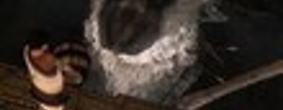 The Last Guardian: сравнение демо-версий с Е3 2015 и Е3 2016