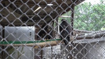 Видеокамера Sony HDR-CX900