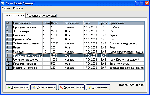 Рабочее окно Семейного бюджета