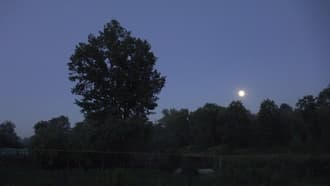 Видеокамера Sony FDR-AX100