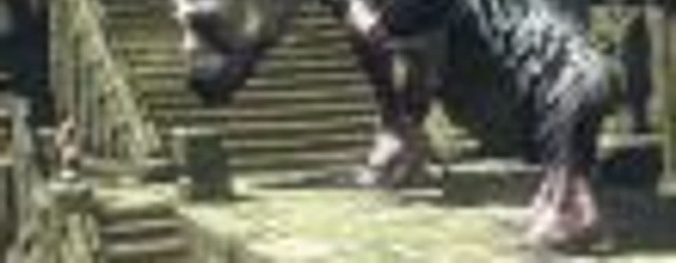 Новая 9-минутная демонстрация игрового процесса The Last Guardian