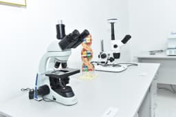 Казахстанские ученые займутся исследованиями цитоматрицы