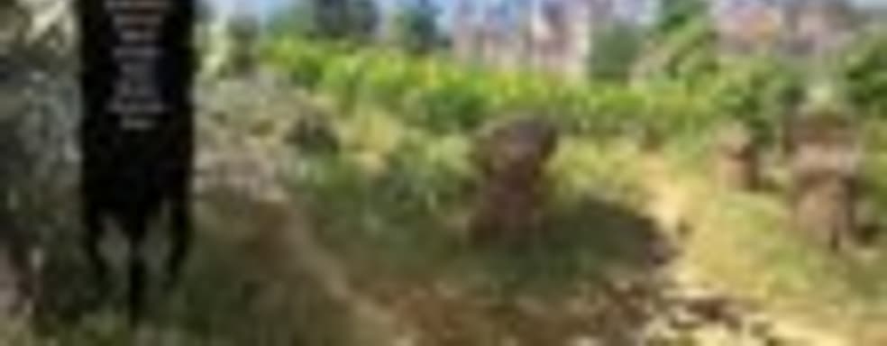 Геймплей «Ведьмак 3: Дикая Охота» с комментариями Лютика